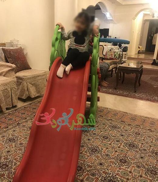 عکس سرسره خرس