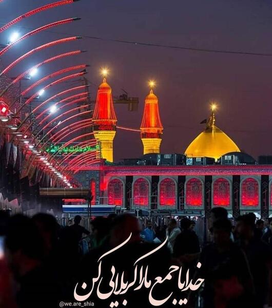 عکس سیاه حضرت رقیه