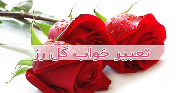 عکس خواب گل