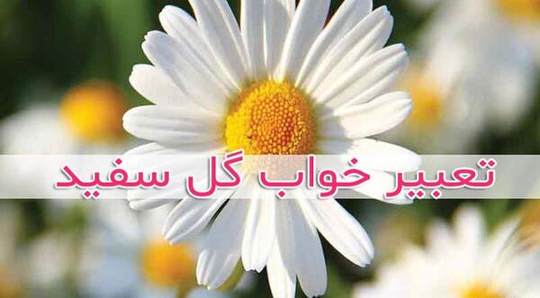 عکس خواب گل