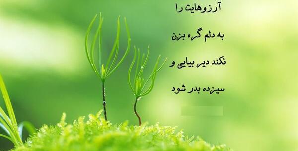 عکس سیزده بدر خاص