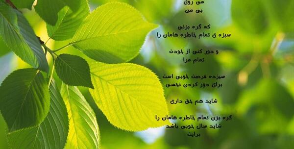 عکس سیزده بدر خاص