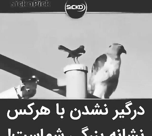 عکس نوشته پروفایل هرکس نشانه شخصیت اوست
