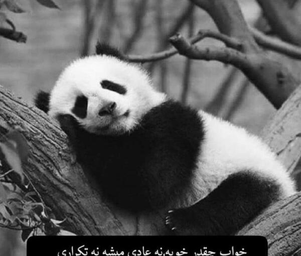 عکس خواب همیشگی