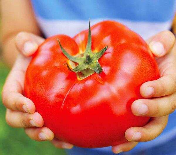 عکس غول قرمز