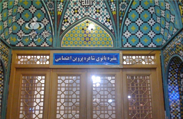 عکس کاکتوس روی سنگ