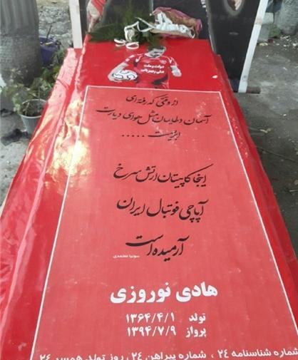 عکس کاکتوس روی سنگ