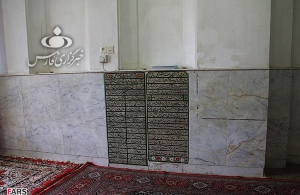 عکس کاکتوس روی سنگ