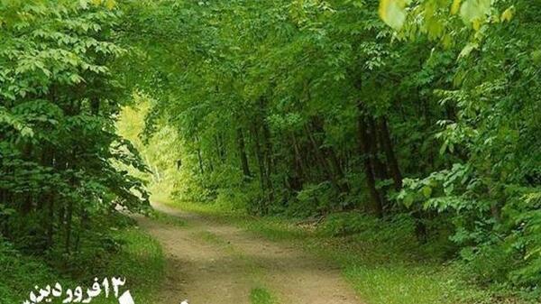 عکس تولد روز طبیعت