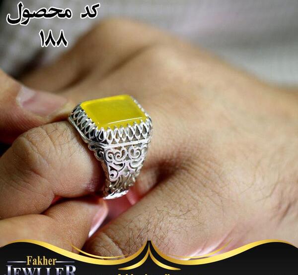 عکس نگین شرف شمس