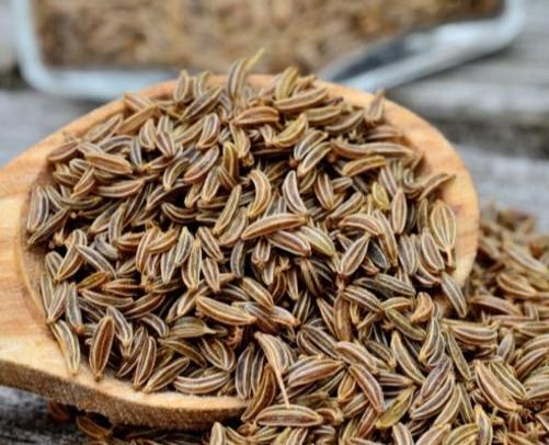 عکس زیره سبز