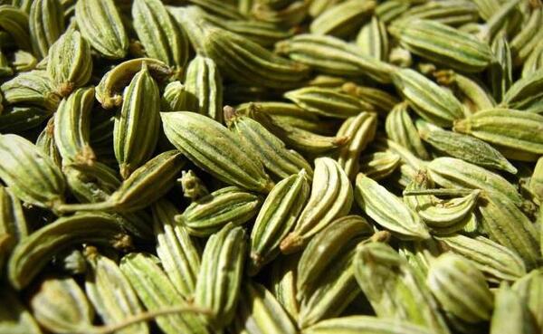 عکس زیره سبز
