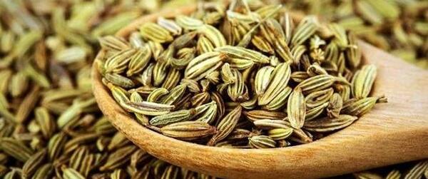عکس زیره سبز
