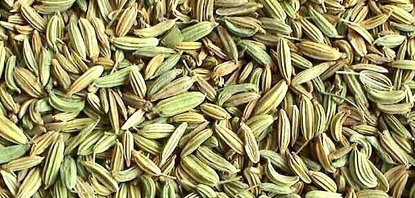 عکس زیره سبز