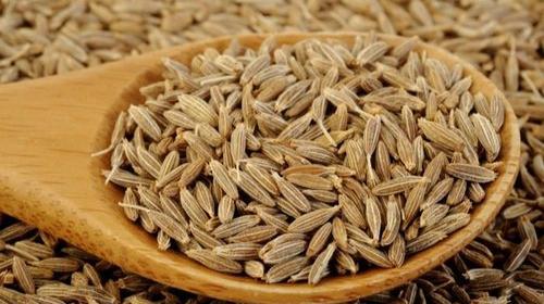 عکس زیره سبز