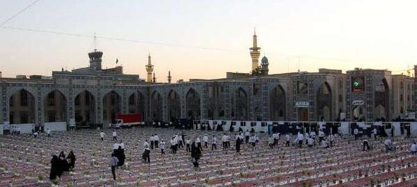 عکس سفره افطاری کارتونی