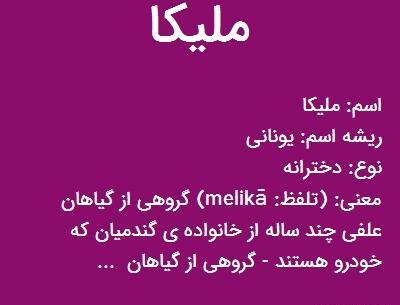 دانلود عکس گل ملینا