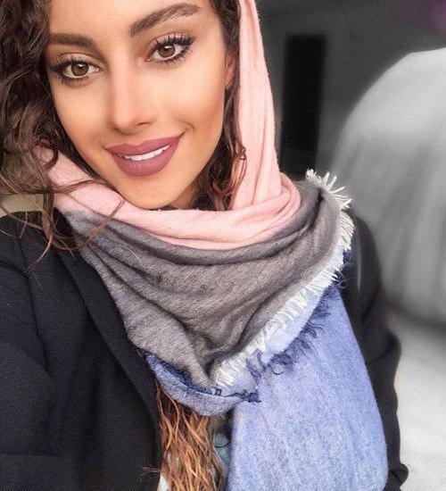عکس گربه و پروانه