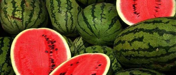 عکس هندوانه قرمز و شیرین