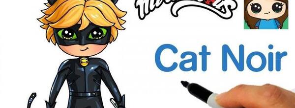 عکس گربه ساده