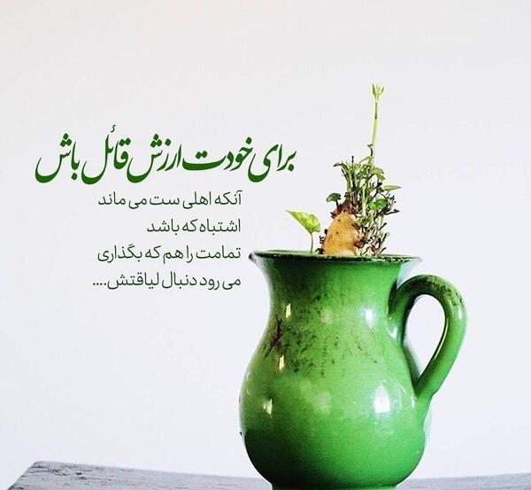 عکس نوشته کاکتوس