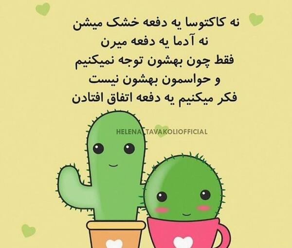 عکس نوشته کاکتوس