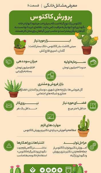 عکس نوشته کاکتوس