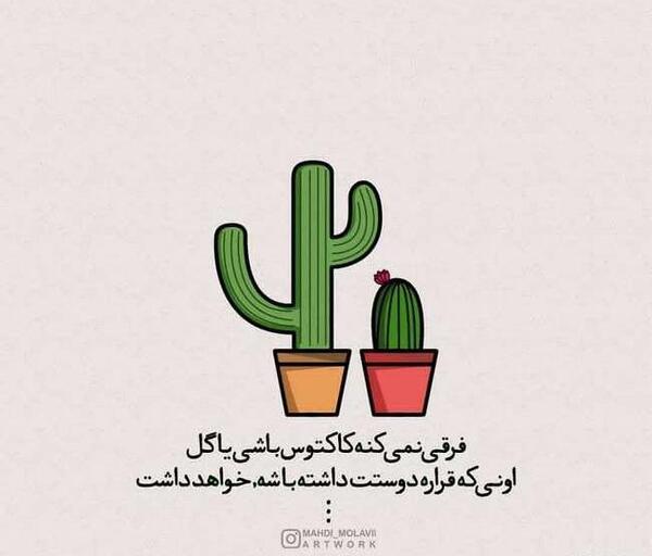 عکس نوشته کاکتوس