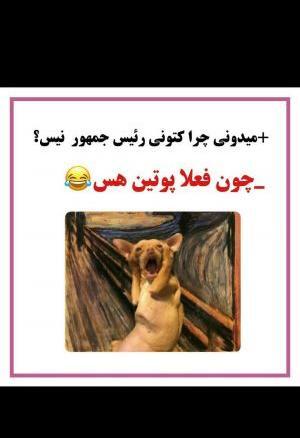 عکس جک های بی مزه
