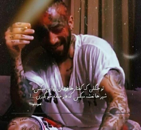 عکس تتلو پرو