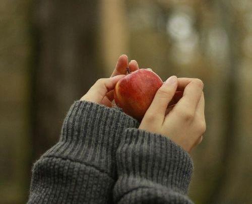 عکس دست دونفره یلدایی