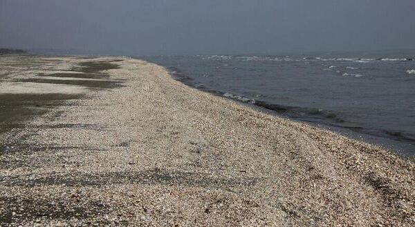 عکسهای ساحل صدف آستارا