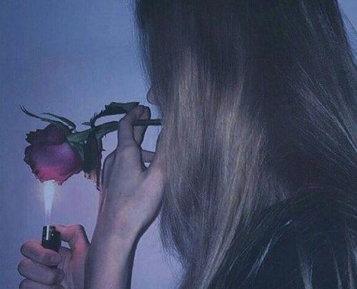 عکس ابی شاخ دخترونه