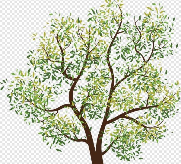 عکس ترانسپرنت