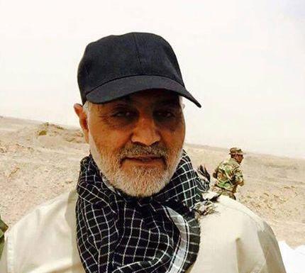 عکس گربه زرد کوچولو