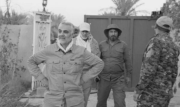 عکس گربه زرد کوچولو