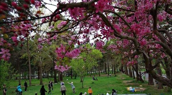 عکس های مربوط به روز طبیعت
