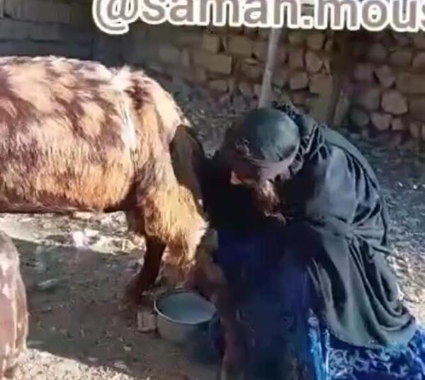 عکس واقعی دالو بگم نسا