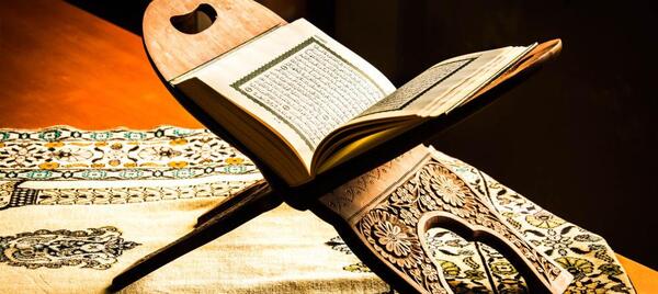 عکسهای راغب مصطفی غلوش