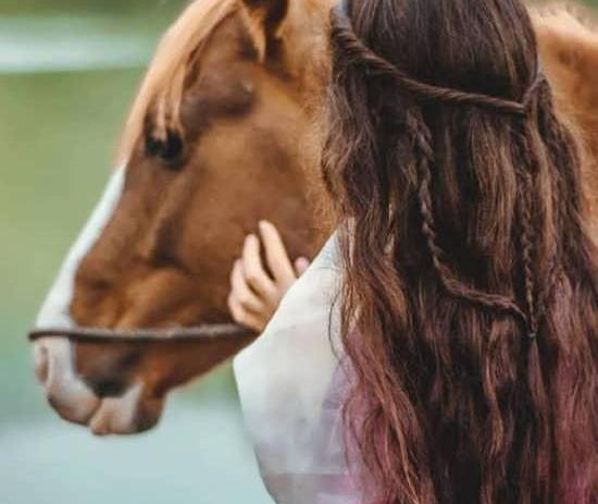 عکس پهپاد اسباب بازی با قیمت