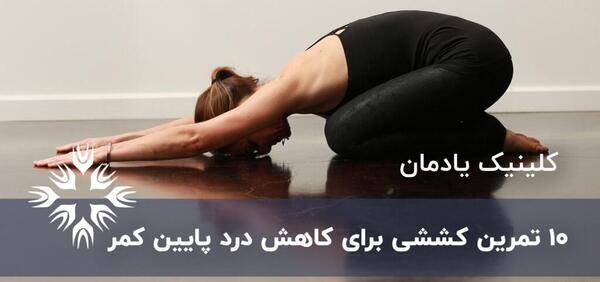 عکس حرکت گربه