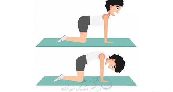 عکس حرکت گربه