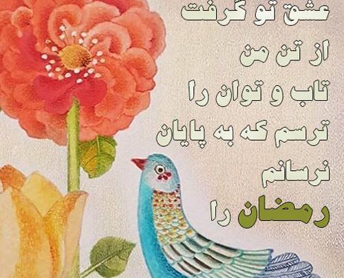 عکس پروفایل ماه رمضان ماه خدا