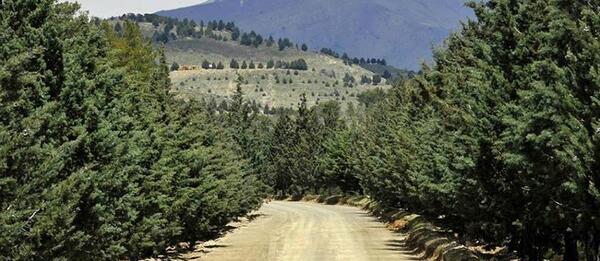 عکس پارک یاس فاطمی