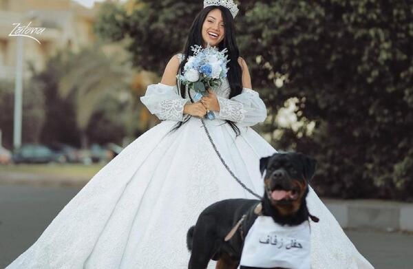 عکس سگ زن