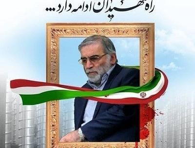 عکس دکتر عالیه قاسم زاده