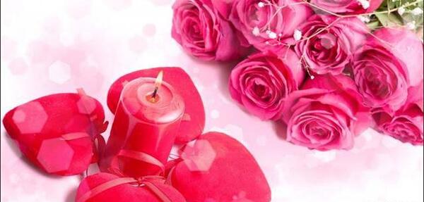 عکس گل رز قرمز نقاشی