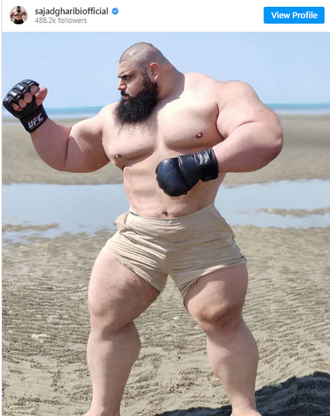 عکس سجاد غریبی هرکول ایرانی