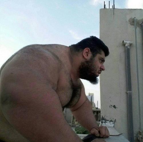 عکس سجاد غریبی هرکول ایرانی