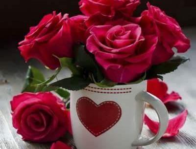 عکس خانم خسته نباشید